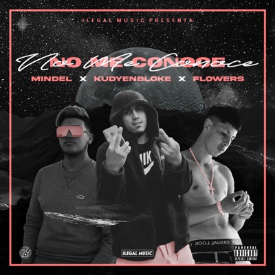 No Me Conoce (feat. Mindel & Flowwers) - Single