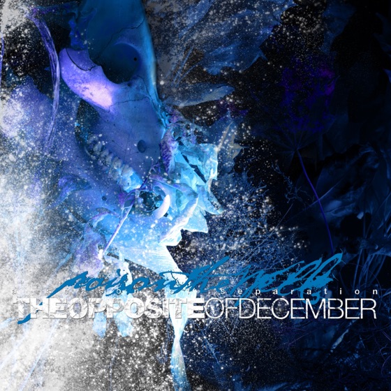 Cover artwork for Not within Arms Length