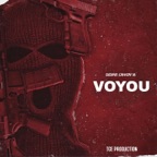 Voyou