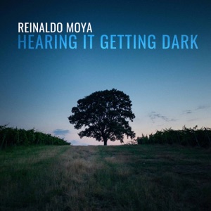 Reinaldo Moya: Hearing it Getting Dark
