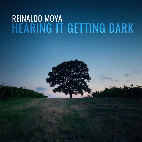 Reinaldo Moya: Hearing it Getting Dark