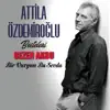 Bir Vurgun Bir Sevda