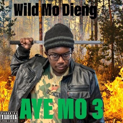 Aye Mo 3