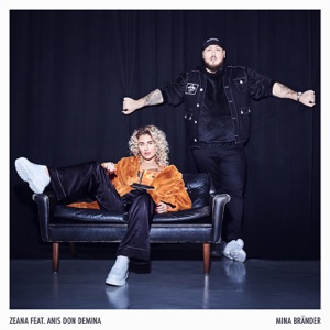 Mina bränder (feat. Anis Don Demina) - Single