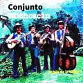 CONJUNTO MICHOACAN