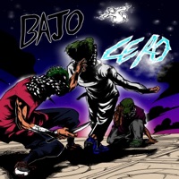 Lagartos Squad Bajo Cero (feat. Shory li, Mojarra & ZootLoops) - Single - Francis