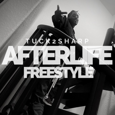 Afterlife Freestyle - Single
