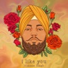 I Like You - Single