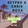 Never Ends (Silverfunk Rmx) - Single