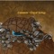 Celestial Shore - Castanets lyrics