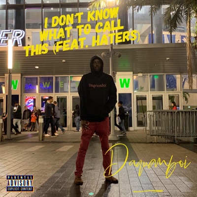 I Don't Know What to Call This (feat. Haters) - Single