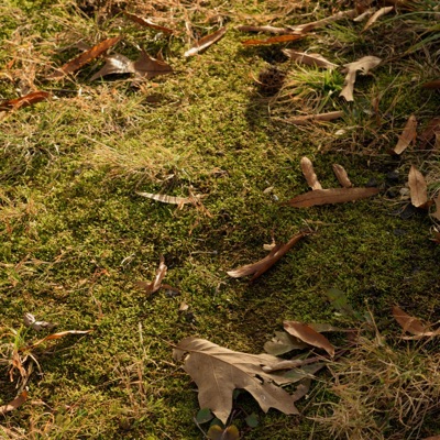 Live from My Bedroom, Vol. 1 - EP