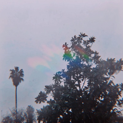 Acid Rain - Single
