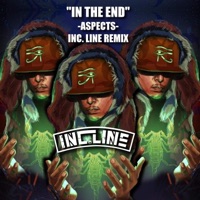In the End (Aspects) [Inc.Line Remix] - Single - INC.LINE