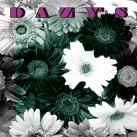 Dazy's