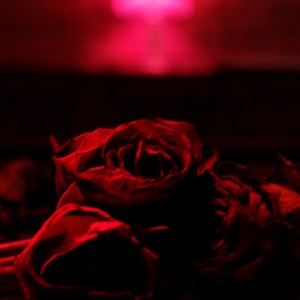 Climb On Your Tears (feat. Aoife O'Donovan)