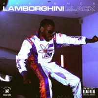 Lamborghini Black - Single - Axelence