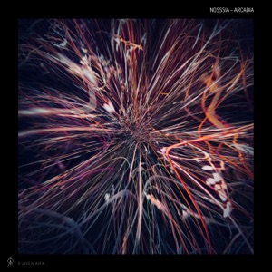 Arcadia - Single