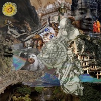 Error Hominum - Human Error