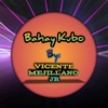Vicente Mejillano Jr - Bahay Kubo