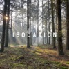 Skylight cover art