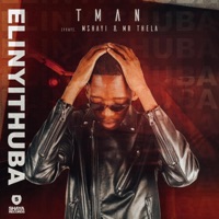 Elinyithuba (feat. Mshayi & Mr Thela) [Remastered] - Single - T-Man