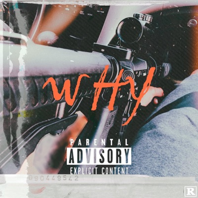 Why (feat. Pook Tha God) - Single