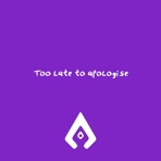 Too Late To Apologise - Single
