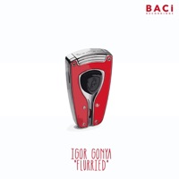 Flurried (70's Mix) - Single - Igor Gonya