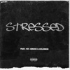 STRESSED (feat. Pat Junior & Solomon) - Single