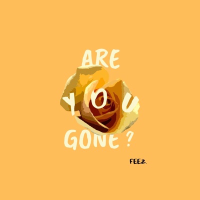 Are You Gone? - Single