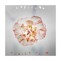 Tuklos Tu Mi - Single - Gyrefunk