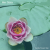Ocean Mornings - Min Sosa
