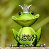 DJ Spandex