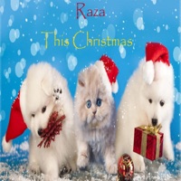 This Christmas - Single - Raza