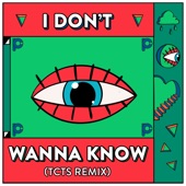 I Don't Wanna Know (TCTS Remix) artwork