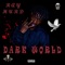 Dark World - Ray Hurd lyrics