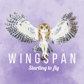 Starting to Fly (Wingspan Original Video Game Soundtrack)