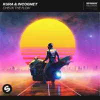 check the flow — kura  incognet