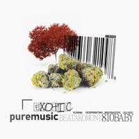 Exotic (feat. Beata & 810 Baby) - Single - Geezzzzz
