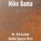 Mr. Old Asshole (Bubba Sparxxx Diss) - Mike Bama lyrics