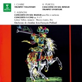 Purcell: Chaconne in G Minor, Z. 730 artwork