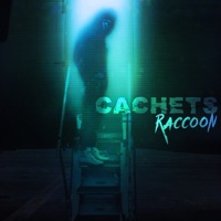 Cachets - Single - Raccoon
