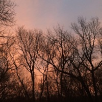 Imsostressed - Single - Pay4n