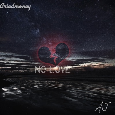 No Love (feat. AJ) - Single