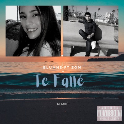 Te Fallé (Remix) [feat. Zom] - Single
