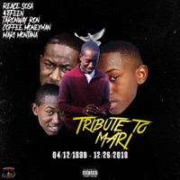 Tribute to Mari (feat. Reace Sosa, TaronWay Ron, Coffee Moneyman & Mari Montana) - Single - 42 Feen