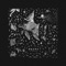 Flâneur (feat. Anomalie) - Plini lyrics