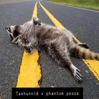 Roadkill (feat. Phantom Pesos) - Single - TaeHunnid
