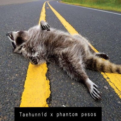 Roadkill (feat. Phantom Pesos) - Single